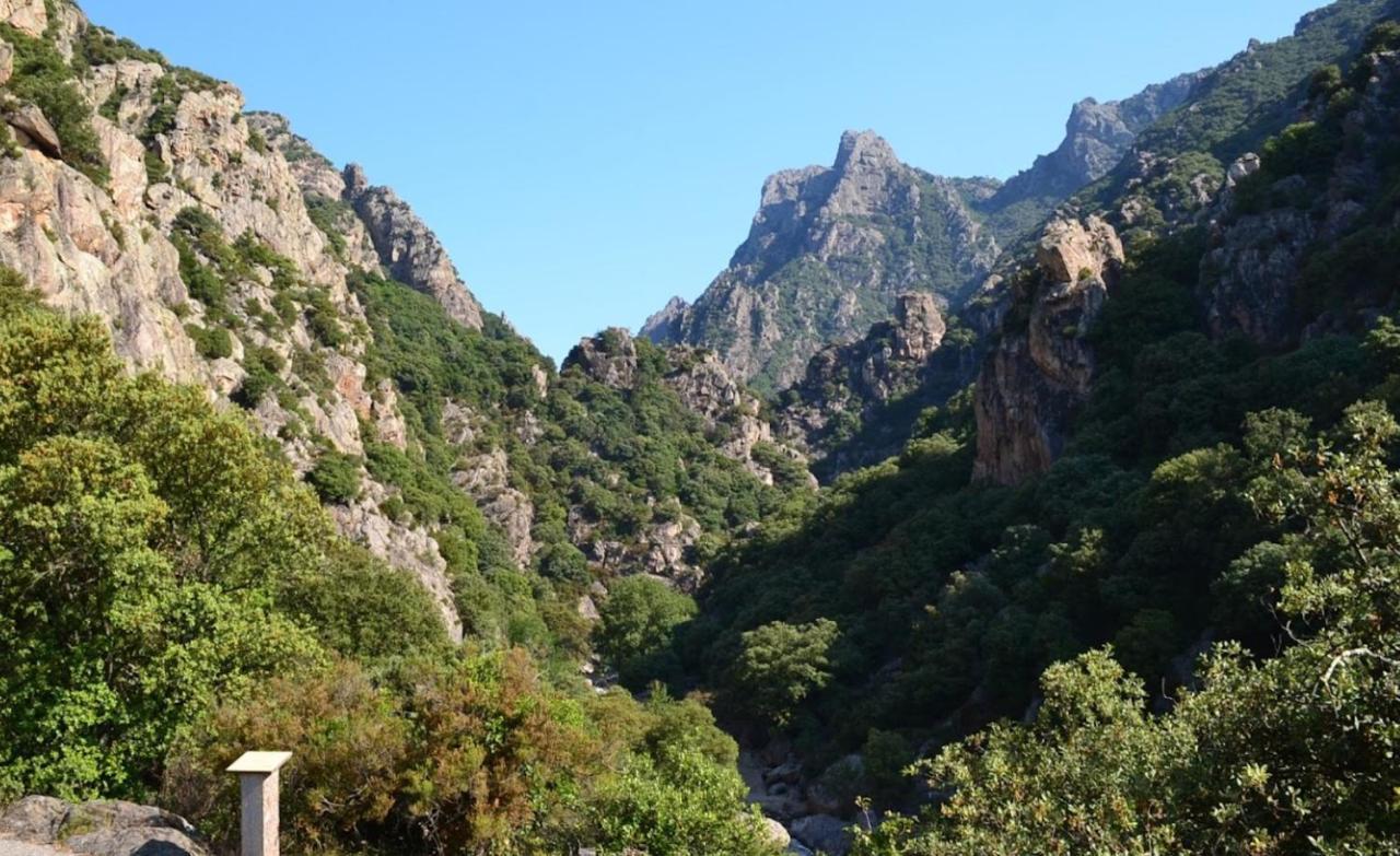 Residence Du Soleil Beziers Bagian luar foto